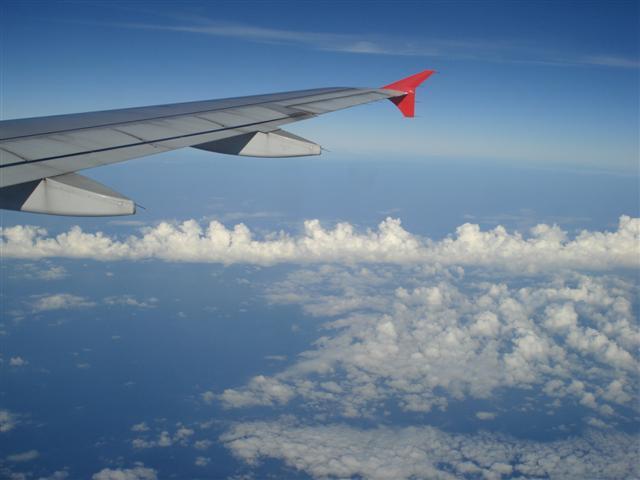 DSC02232 (Small).JPG